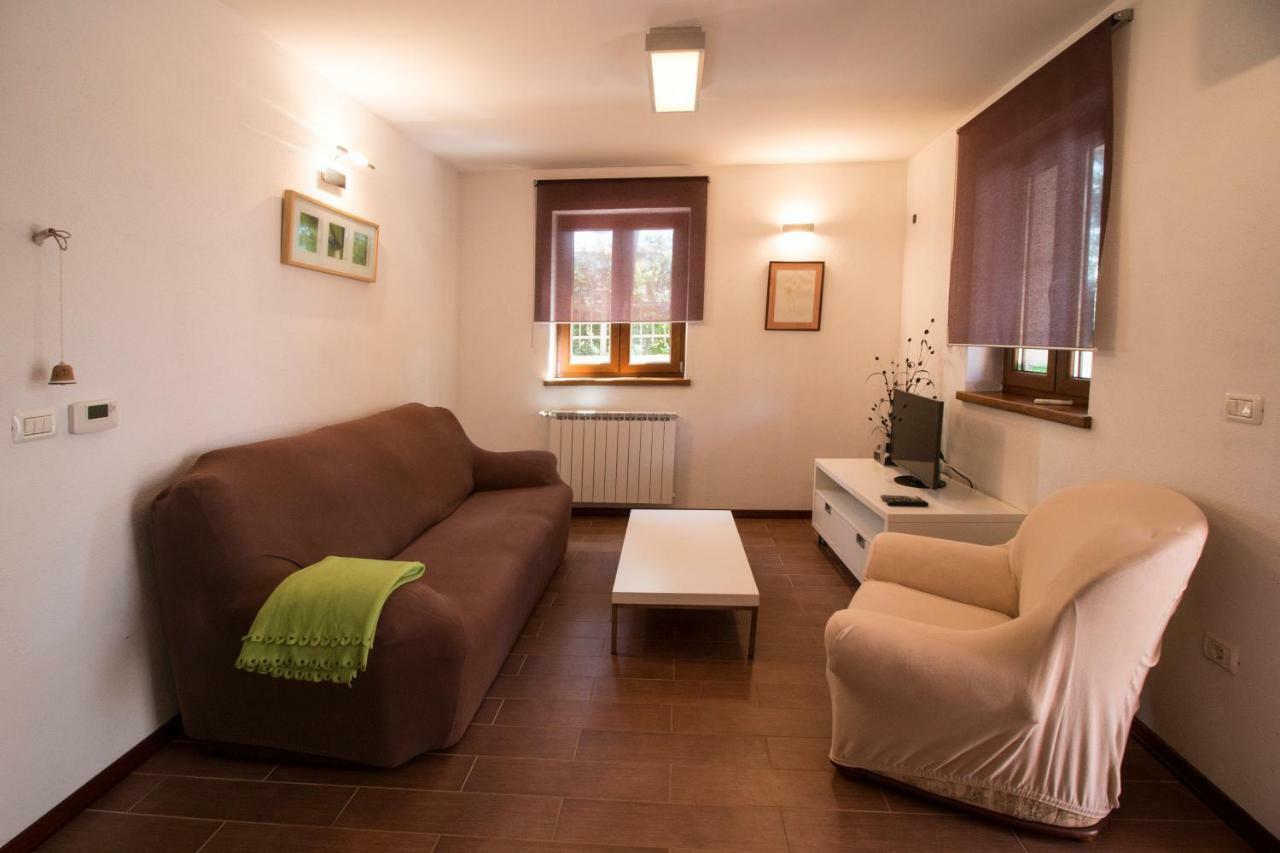 Novigrad Istria Apartment Sincic מראה חיצוני תמונה