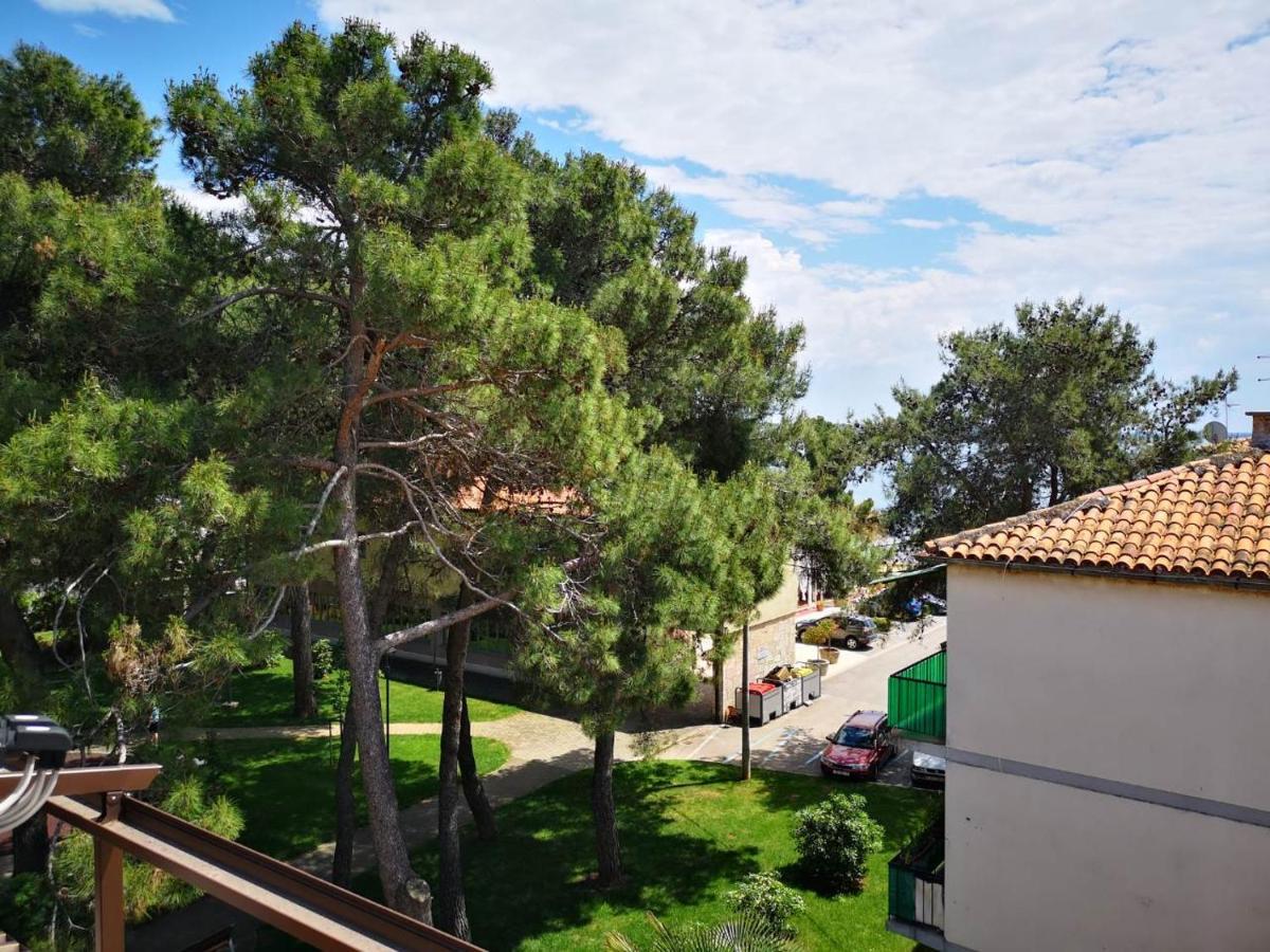 Novigrad Istria Apartment Sincic מראה חיצוני תמונה